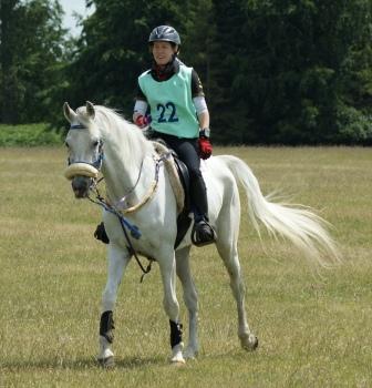 Al Nakyme - Endurance Horses